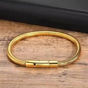 Gouden slangenarmband van roestvrij staal 20,5 cm